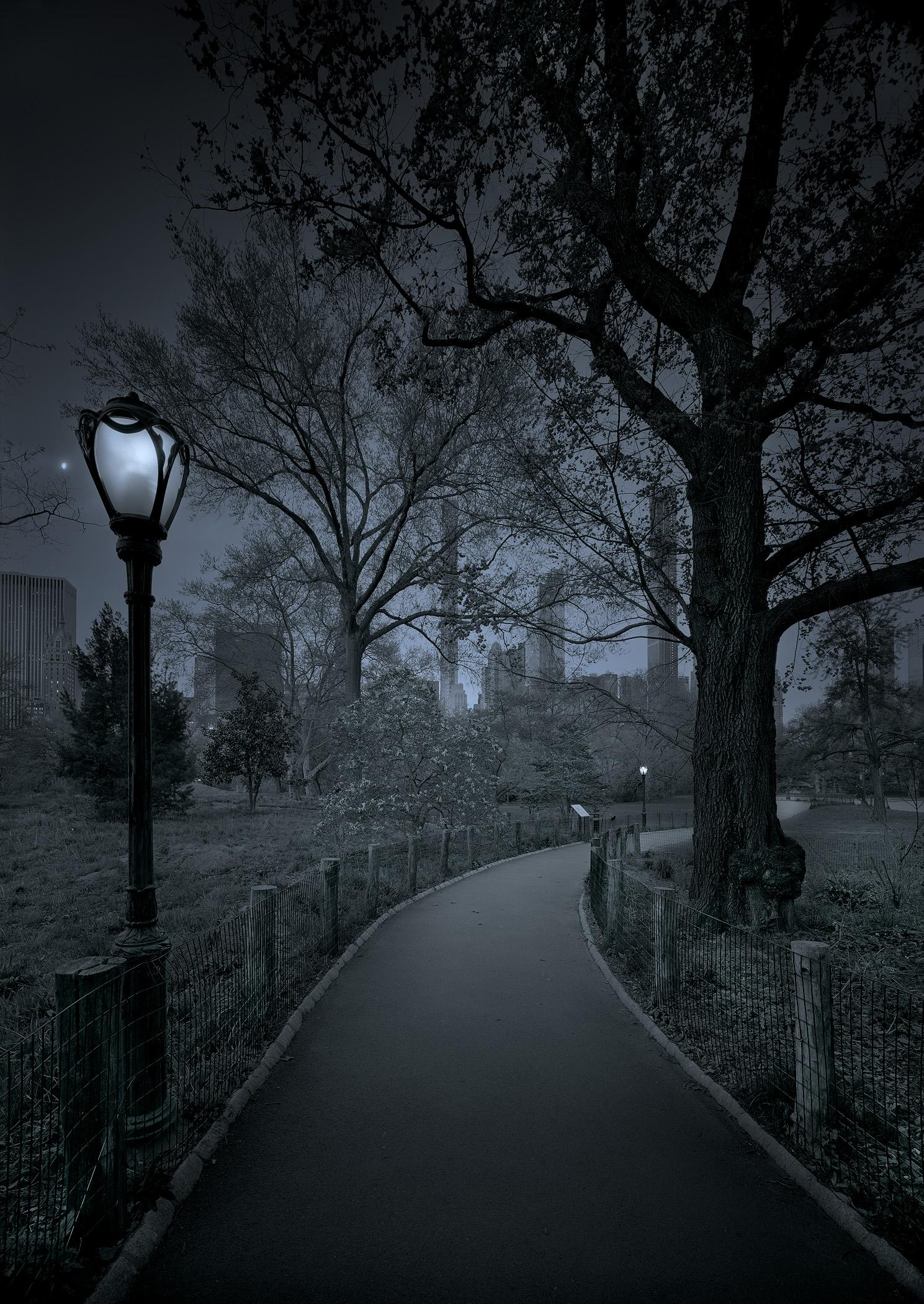Michael Massaia, Second Spring, Three Quarter Moon, Central Park, New York City, Image size approx: 22 x 28", Matted: 28 x 36", Triple gold toned gelatin silver print mounted to archival museum board and matted, Edition of 20, Signed and editioned