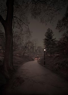 Michael Massaia. Third Spring, Central Park, New York City