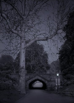 Michael Massaia. Third Spring, Central Park, New York City