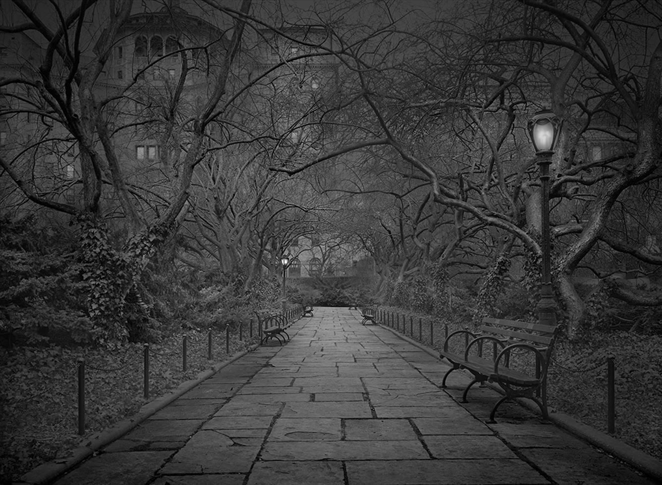 Black and White Photograph Michael Massaia - Jardins privés