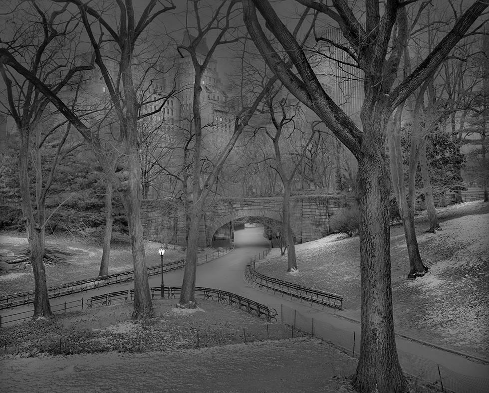 Michael Massaia Landscape Photograph - Snow Dusting