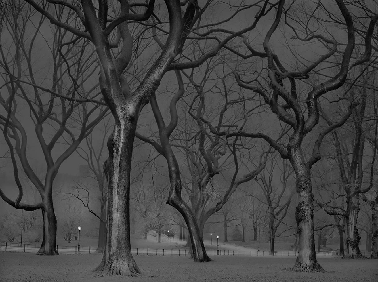 Michael Massaia Landscape Photograph - The Mall, 4 a.m.