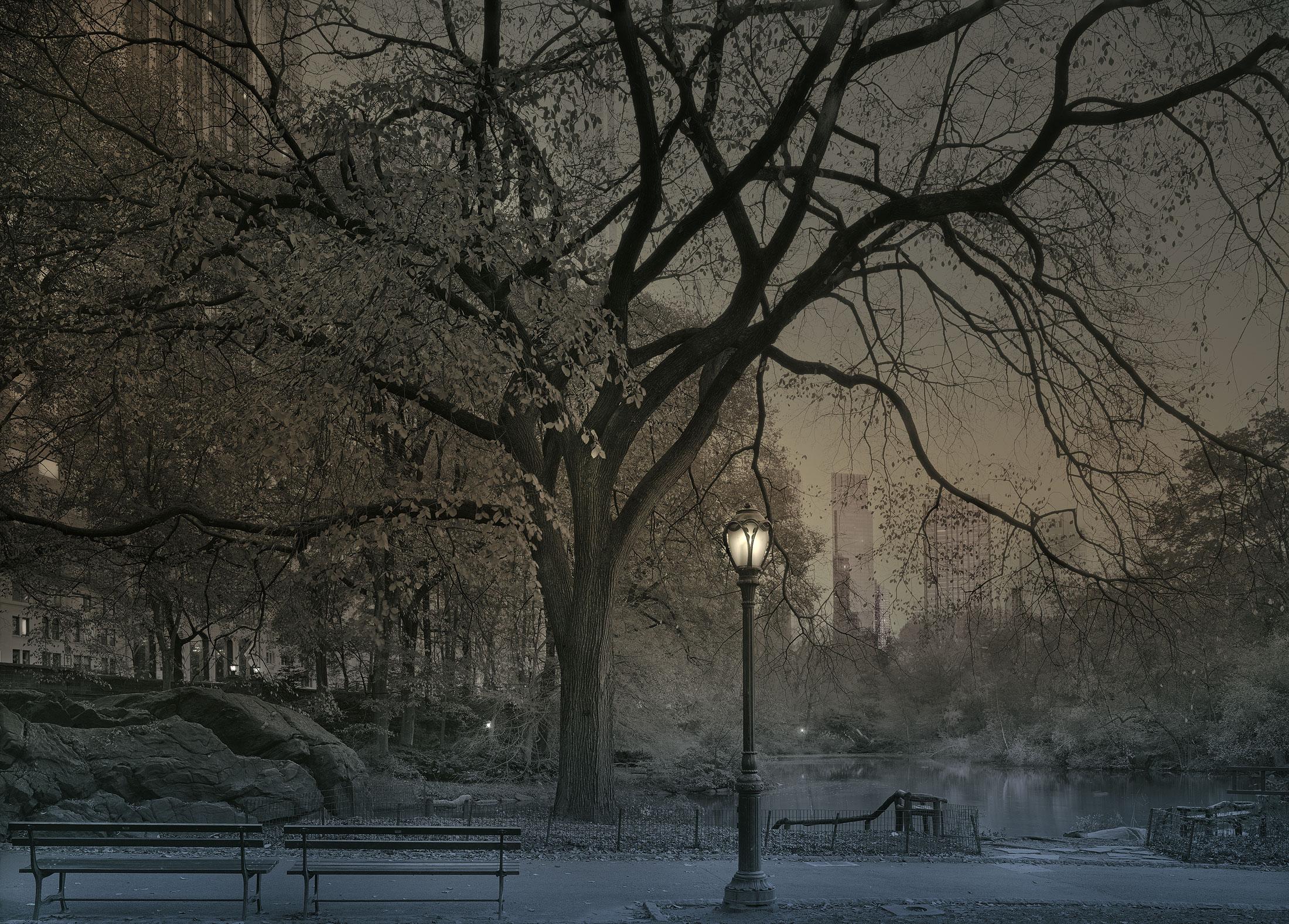 Serie: Nel profondo di un sogno-Central Park

Tipo di stampa: Selenio, seppia e gelatina d'argento con tonalità al ferro 
Stampato su carta a base di fibre Bergger Prestige
Pannello da museo a 8 veli, opacizzato e montato

Taglie disponibili:
22" x