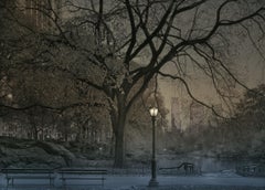 Michael Massaia - 7th Autumn, Photography 2022, Printed After