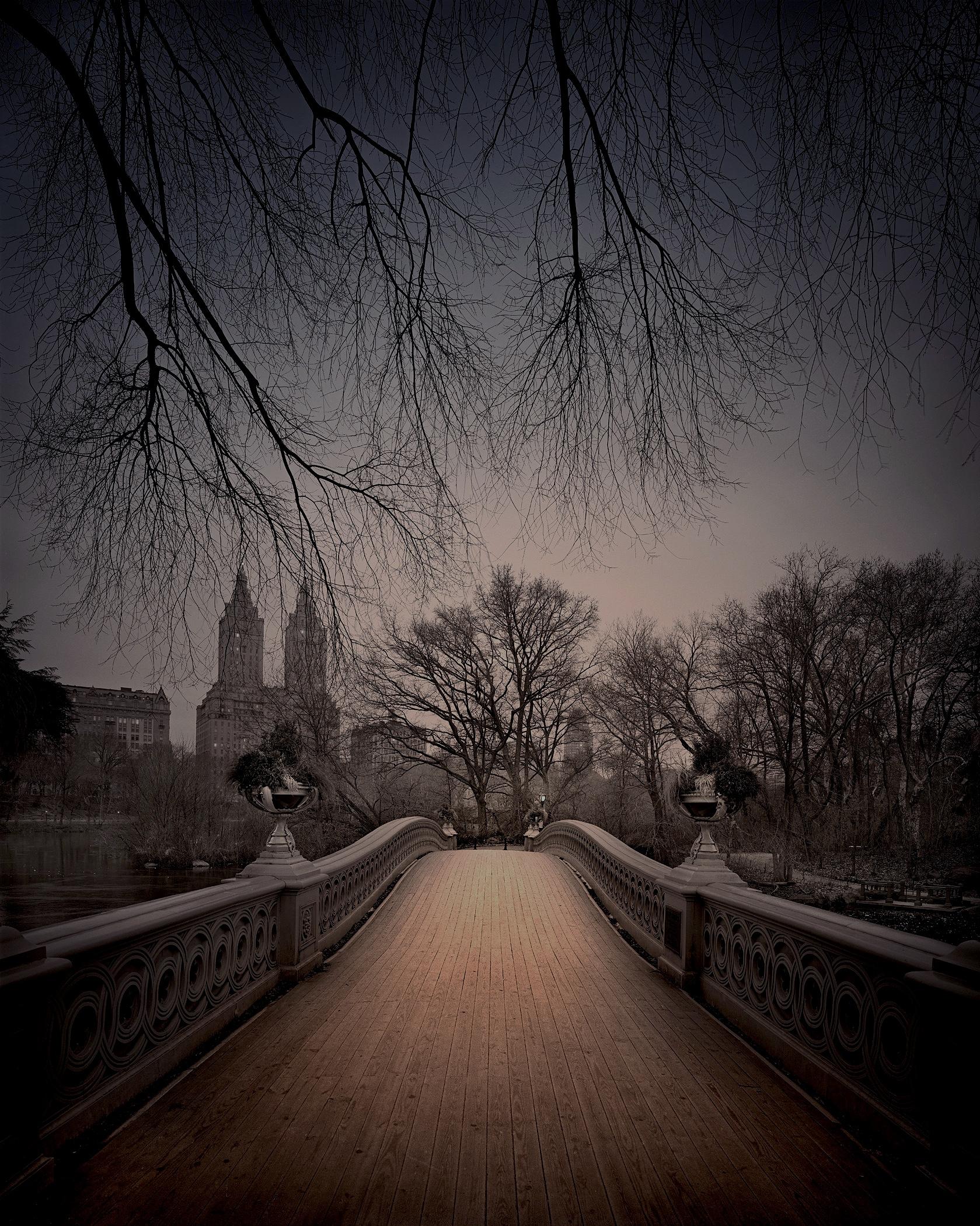 Series: Deep In A Dream-Central Park

Print Type: Selenium, Sepia, & Iron Toned Gelatin Silver 
Printed on Bergger Prestige Fiber Based Paper
Matted & Mounted 8ply Museum Board

Available Sizes:
22" x 28"	Edition of 20 + 3 AP
32" x 40"	Edition of 10