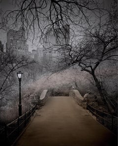 Michael Massaia - Gapstow Bridge, photographie de 2009, imprimée d'après