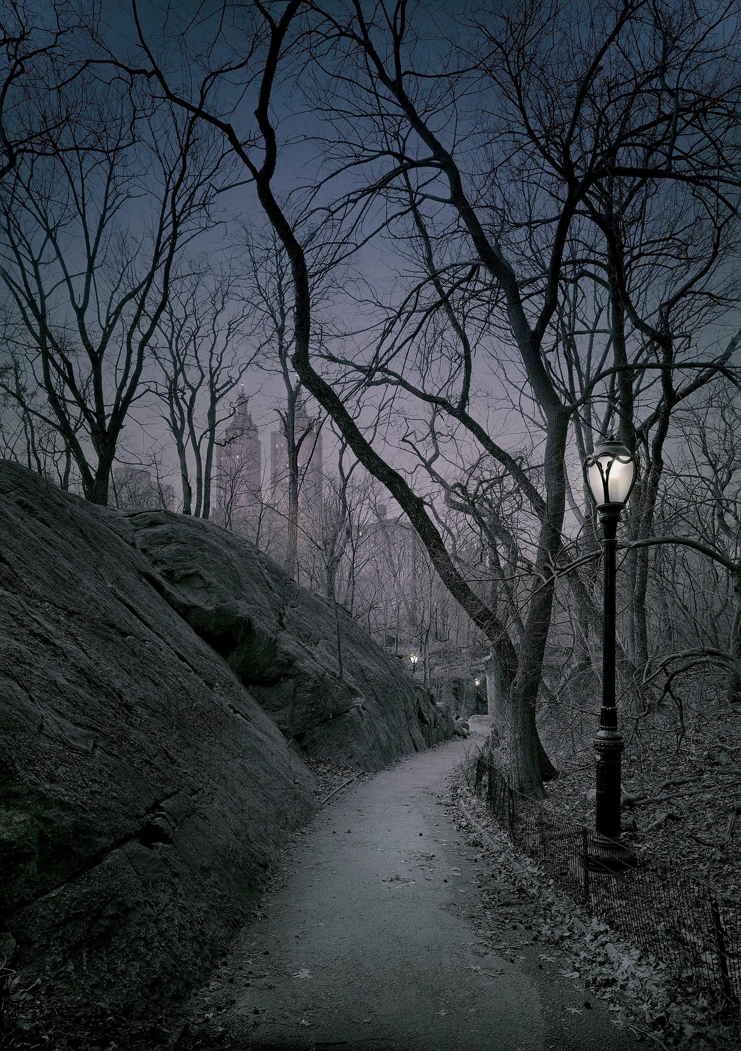 Michael Massaia - North Ramble Exit, Photography 2023, Printed After