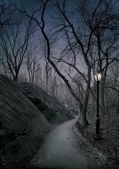 Michael Massaia - North Ramble Exit, Photography 2023, Printed After