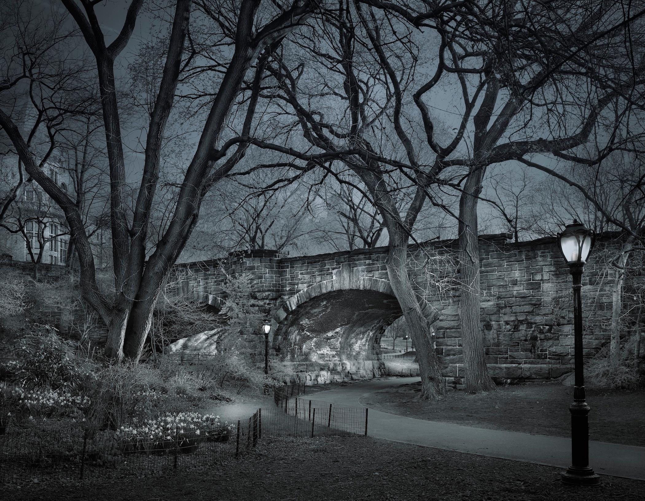 Series: Deep In A Dream-Central Park

Print Type: Selenium, Sepia, & Iron Toned Gelatin Silver 
Printed on Bergger Prestige Fiber Based Paper
Matted & Mounted 8ply Museum Board

Available Sizes:
22" x 28"	Edition of 20 + 3 AP
32" x 40"	Edition of 10