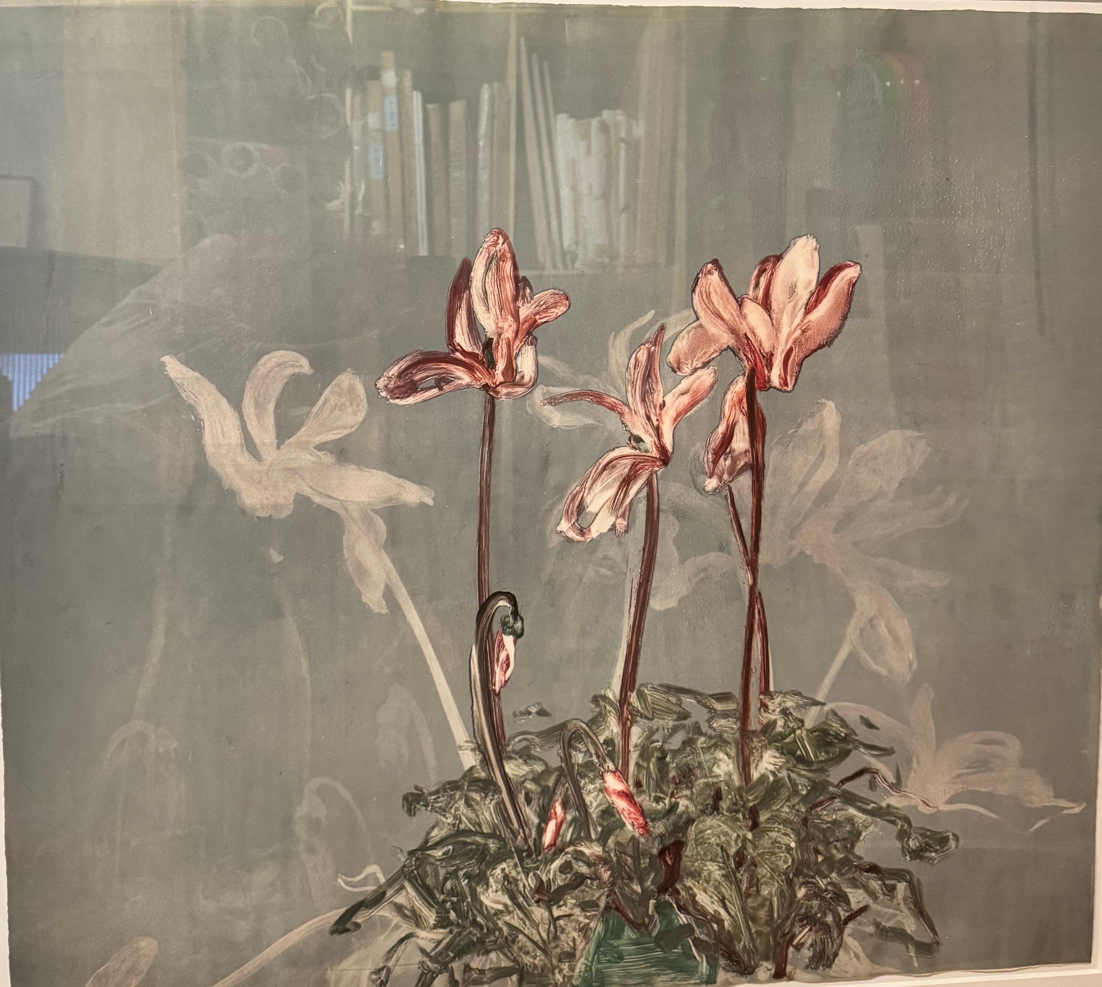 Still-Life Print Michael Mazur - Cyclamen II