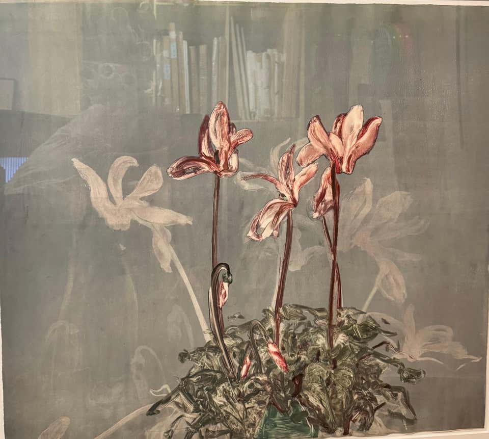Cyclamen II
