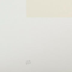 Michael McMillien "Vuelo a Marte" Serigrafía a 11 colores 165/250 Firmada