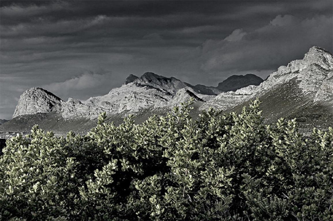 Michael Meyersfeld Landscape Photograph - Hedge and Mountain- Contemporary, Giclee Print, 21st Century