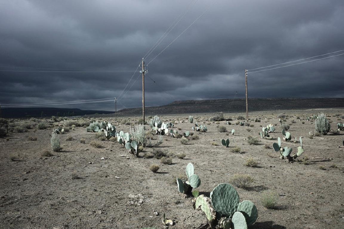 Michael Meyersfeld Landscape Photograph - Kuilsfontein Cactus #1- Contemporary, Giclee Print, 21st Century