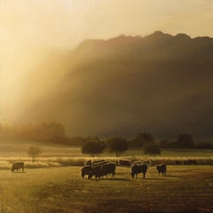 "Cattle and the West" Oil Painting