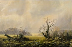 A Winter Field on Overcast Farmland in the English Countryside (Champ d'hiver sur un ciel couvert dans la campagne anglaise) par un artiste anglais