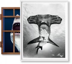Michael Muller, Sharks, Art Edition No. 101-200 ‘Under Study’