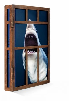Michael Muller, Sharks, Limited Edition Signed Photography Book in Metal Cage