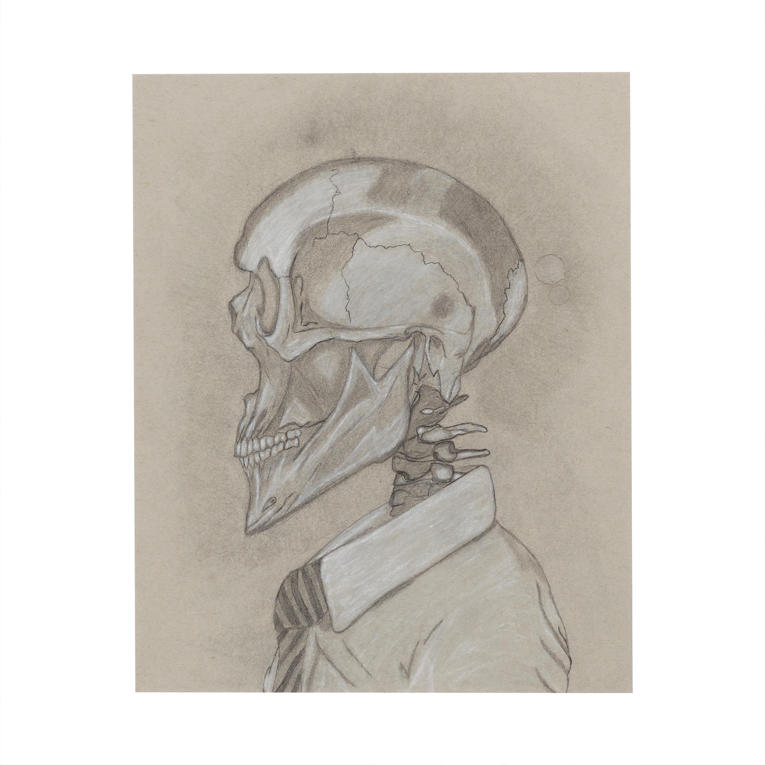 Michael Oates – Memento Mori-Graphit und Kohle auf Papier 2021 im Angebot 1