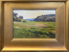 Arroyo Vista; Trabuco Creek, Condado de Orange