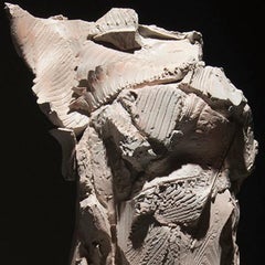 Variation du torse volant 7