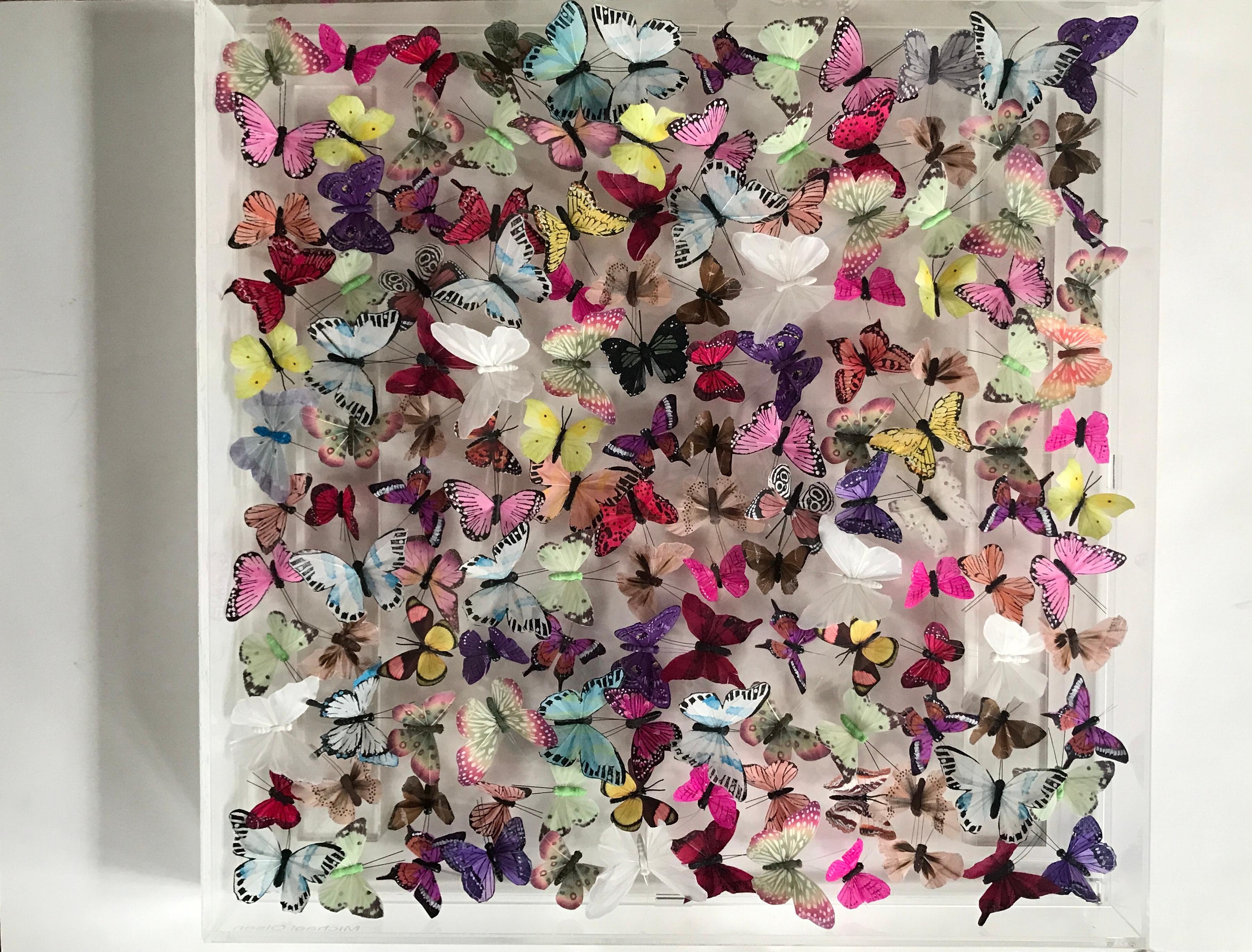Melange II, Art déco, abstrakt, Schmetterlinge, Federn, Contemporary, Natur (Zeitgenössisch), Mixed Media Art, von Michael Olsen