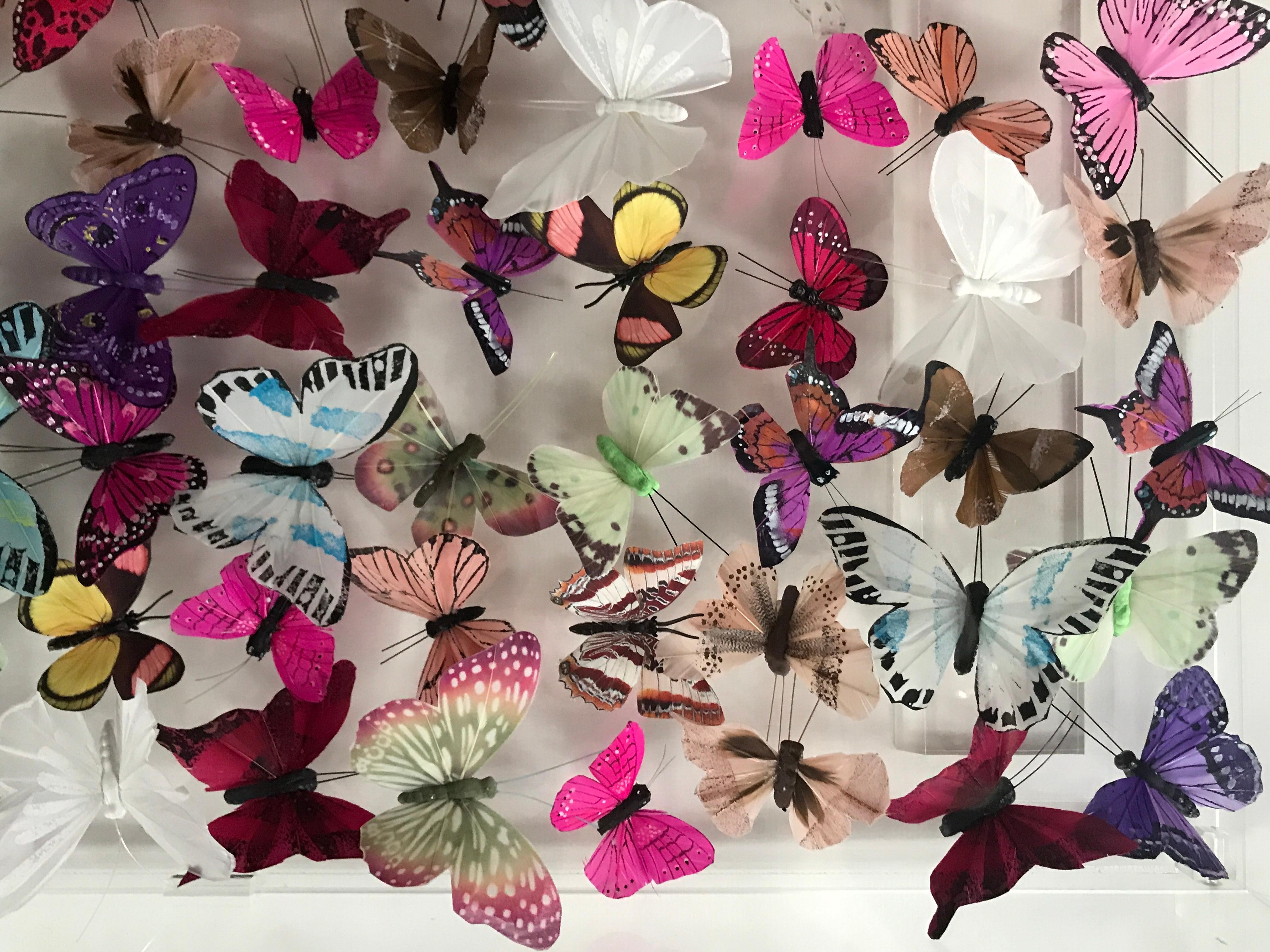 Melange II ist ein Originalwerk von Michael Olsen. Die leuchtenden und kräftigen Farben der Schmetterlinge machen dieses Stück zu einem fröhlichen Werk. Olsens Verwendung von Plexiglas ermöglicht es, dass sich die Arbeiten elegant in jedes Interieur