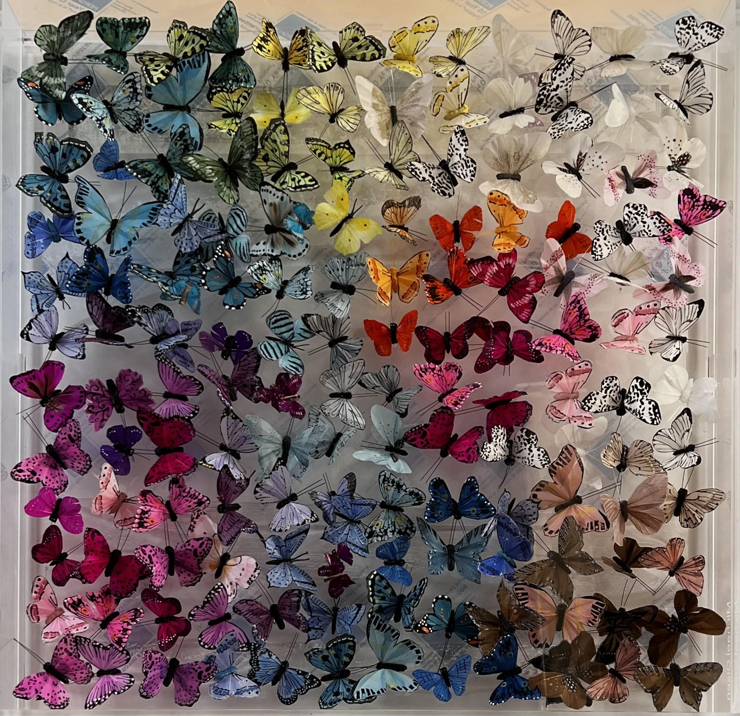 Whiting, œuvre d'art papillon, art contemporain 3D en plexiglas, Statement Art