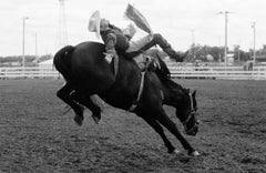 Vintage Bespoke Purchase Link: Bucking Bronco by Michael Ormerod