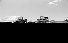 Auto e pecore, 1989 - Stampa fotografica monocromatica in bianco e nero di grandi dimensioni
