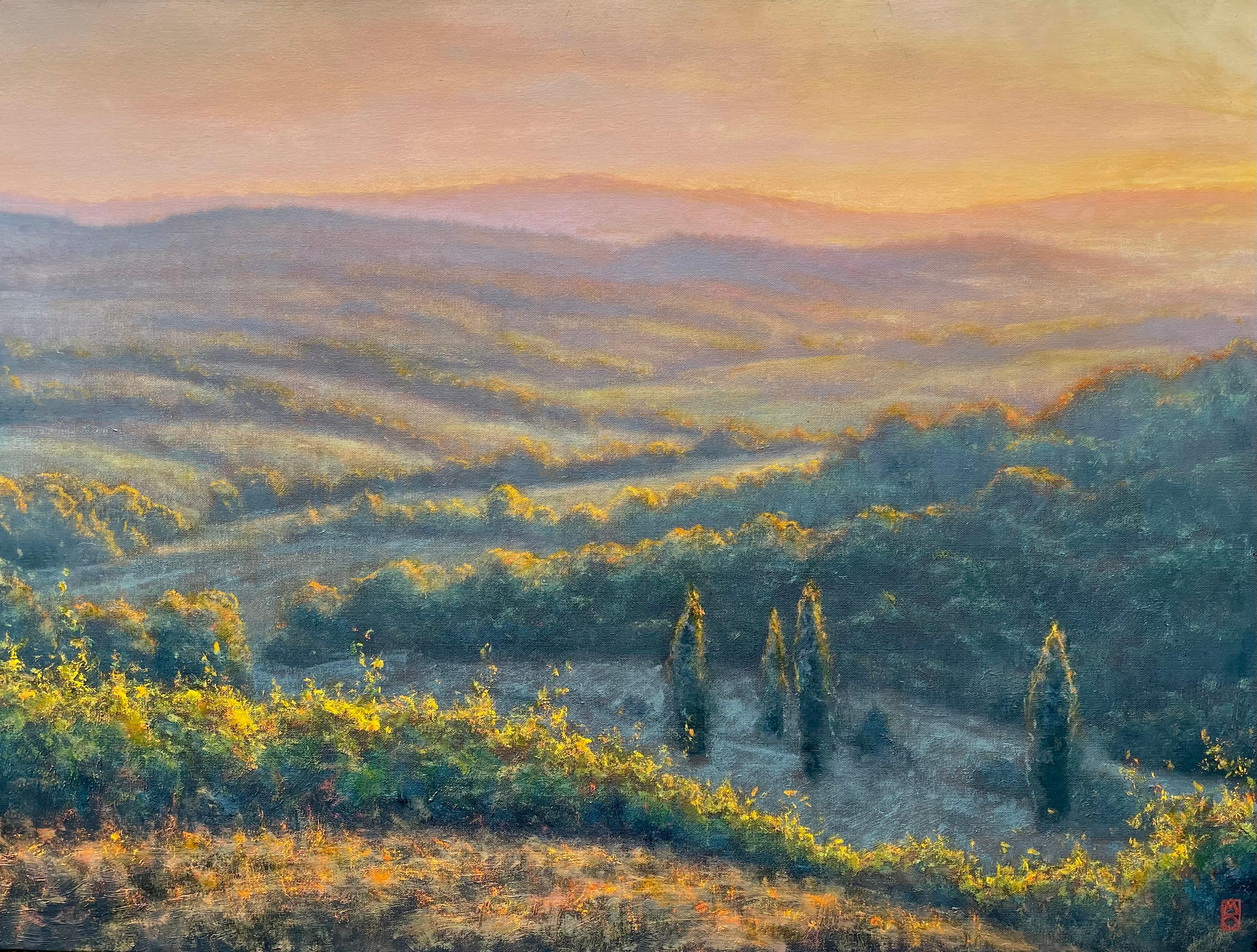 Michael Orwick Landscape Painting - Tuscan Vista, Oil Painting