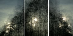 Landscape Photography