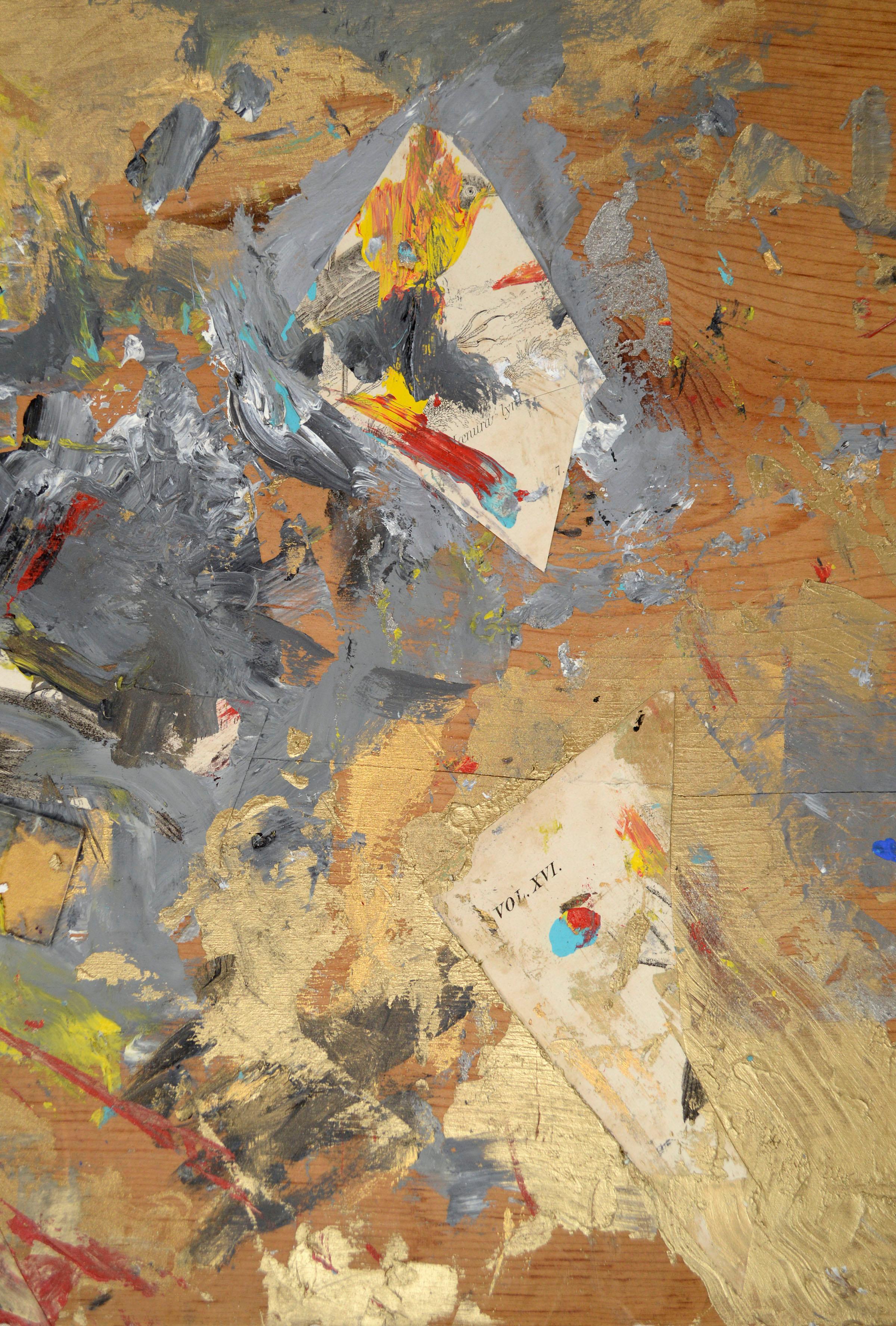 Assemblage n° 5 (Illustrations d'ornithologie et glissière en verre avec peinture argentée et dorée) - Marron Abstract Painting par Michael Pauker 
