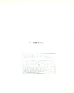 Stevie Nicks Candid on Stage Vintage Original Photograph