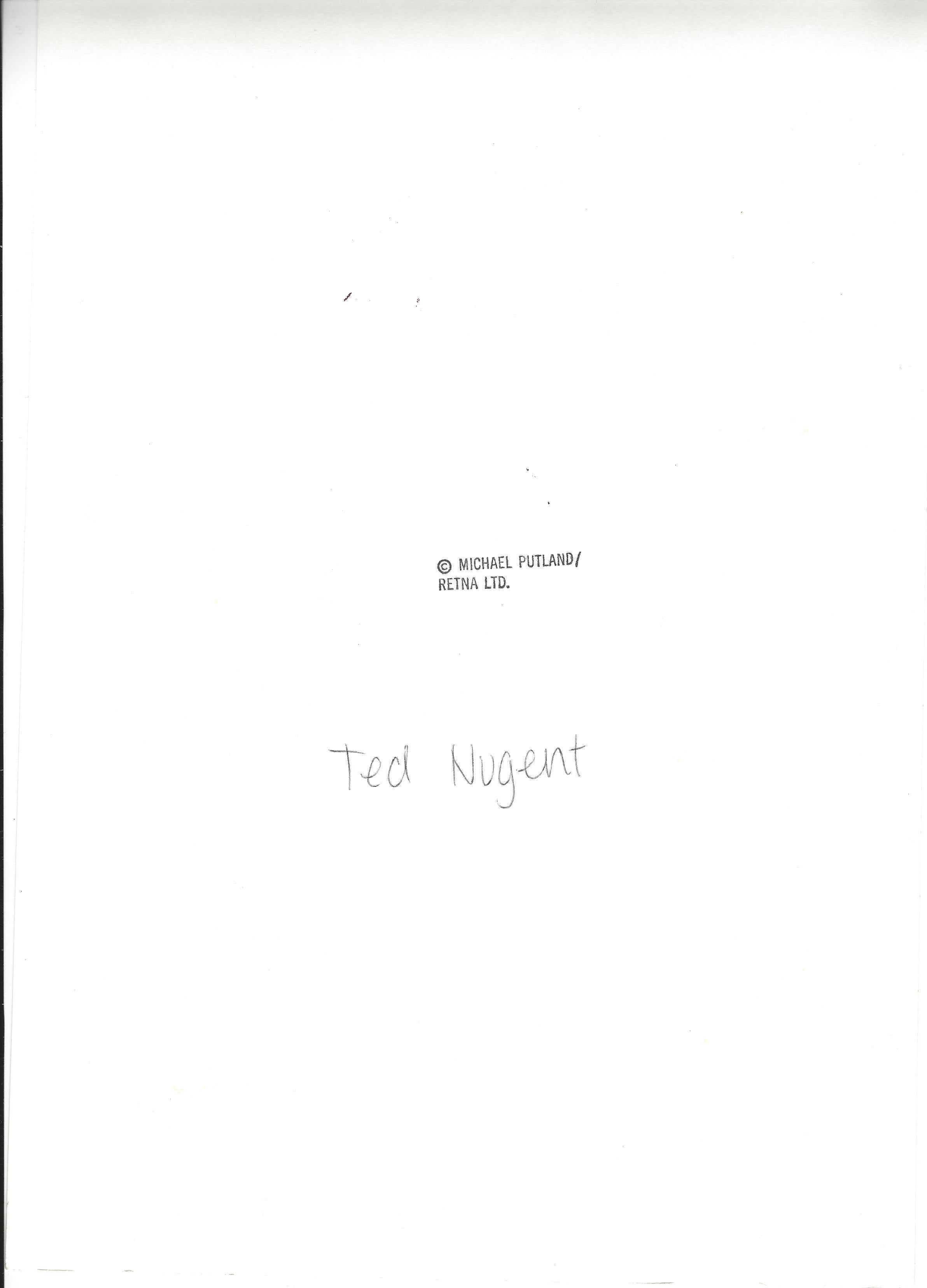 ted nugent amboy dukes