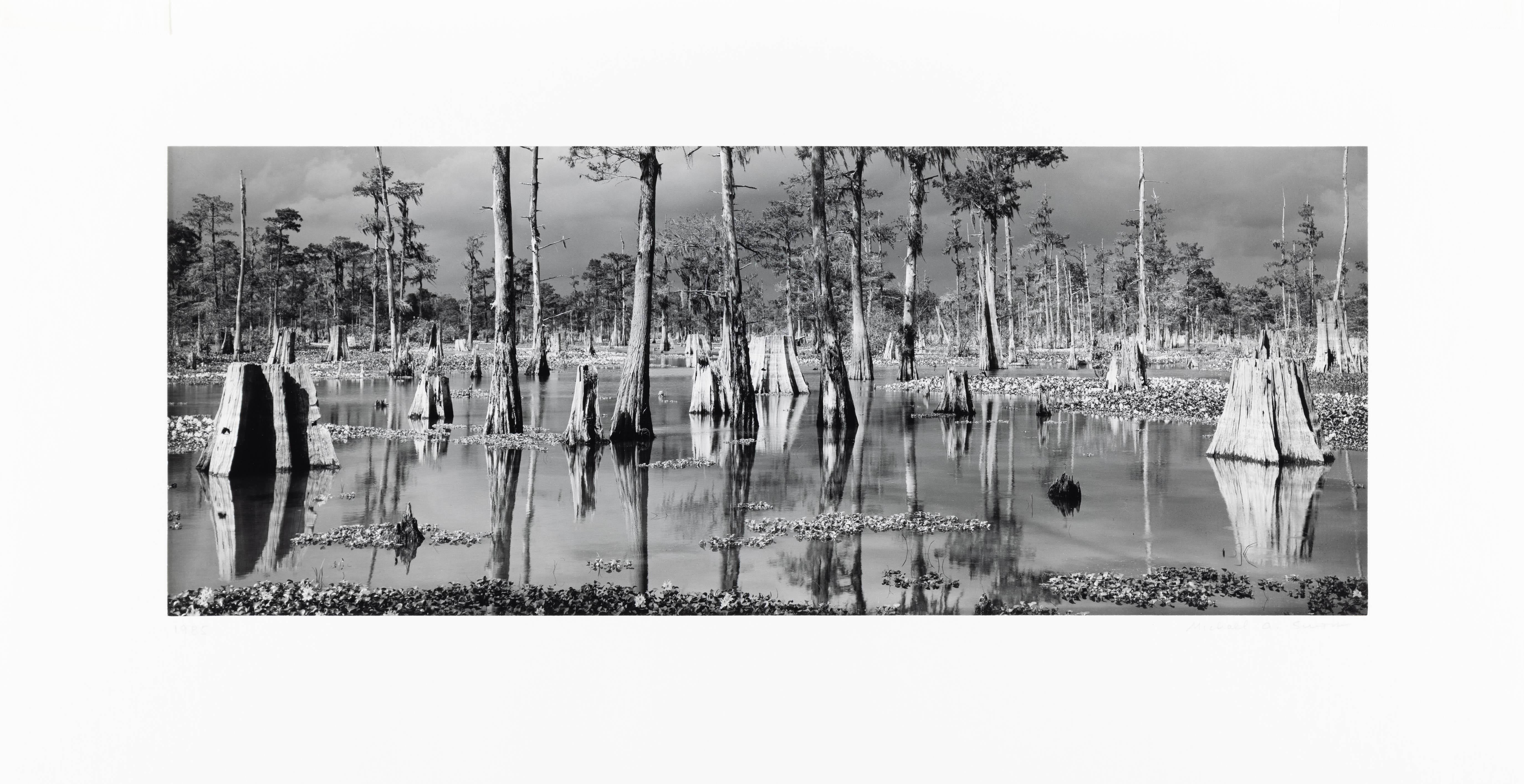 Atchafalaya-Becken, Louisiana – Photograph von Michael Smith