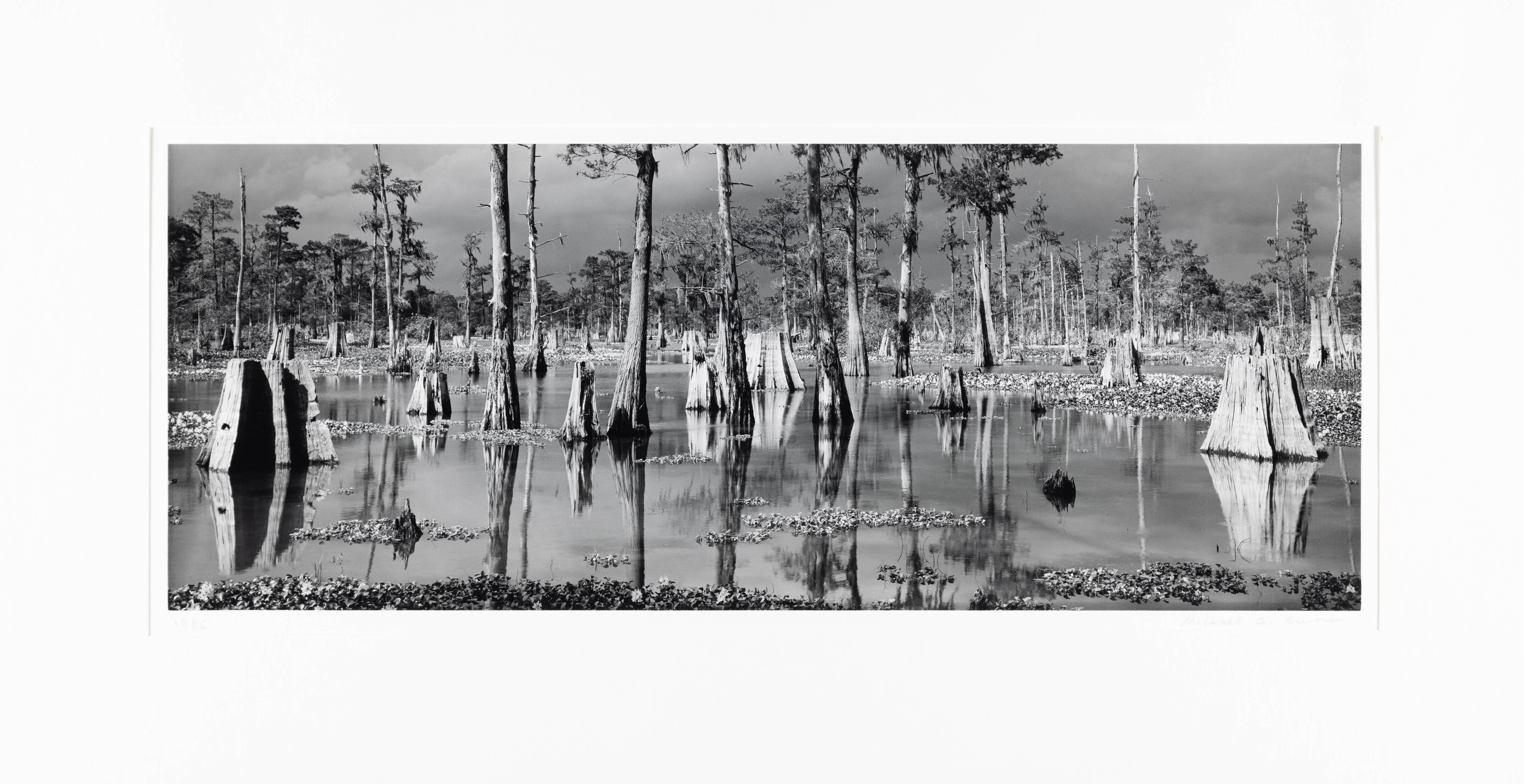 Atchafalaya-Becken, Louisiana (Moderne), Photograph, von Michael Smith