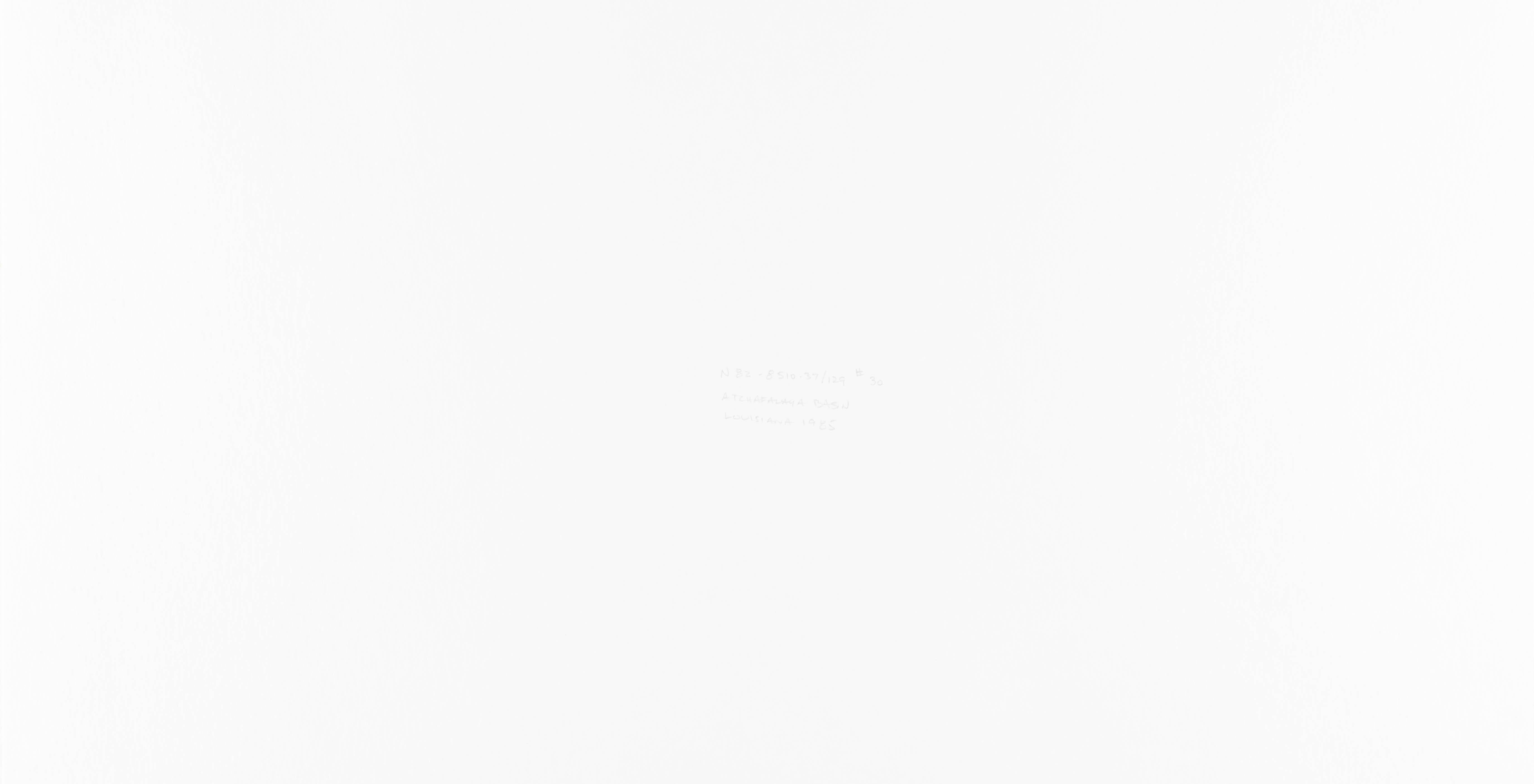 Atchafalaya-Becken, Louisiana (Grau), Landscape Photograph, von Michael Smith