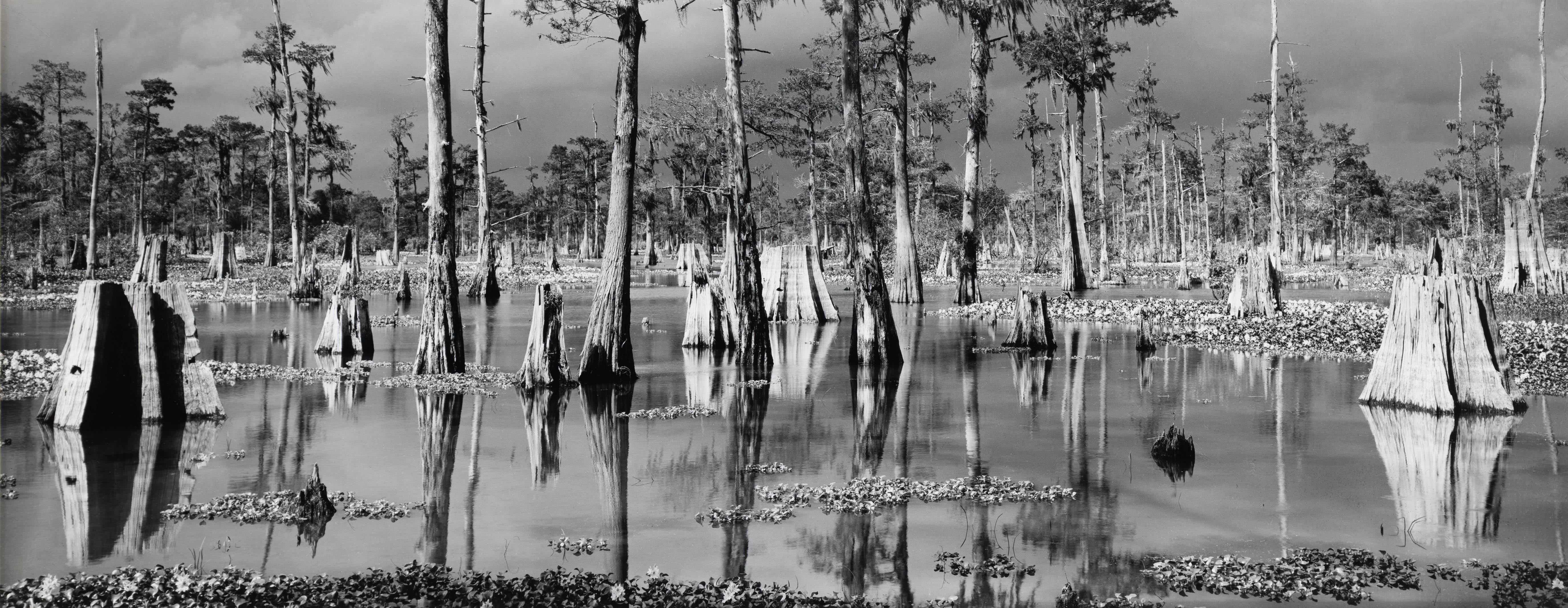Atchafalaya-Becken, Louisiana
