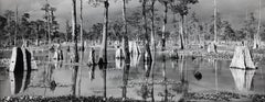 Bacino di Atchafalaya, Louisiana