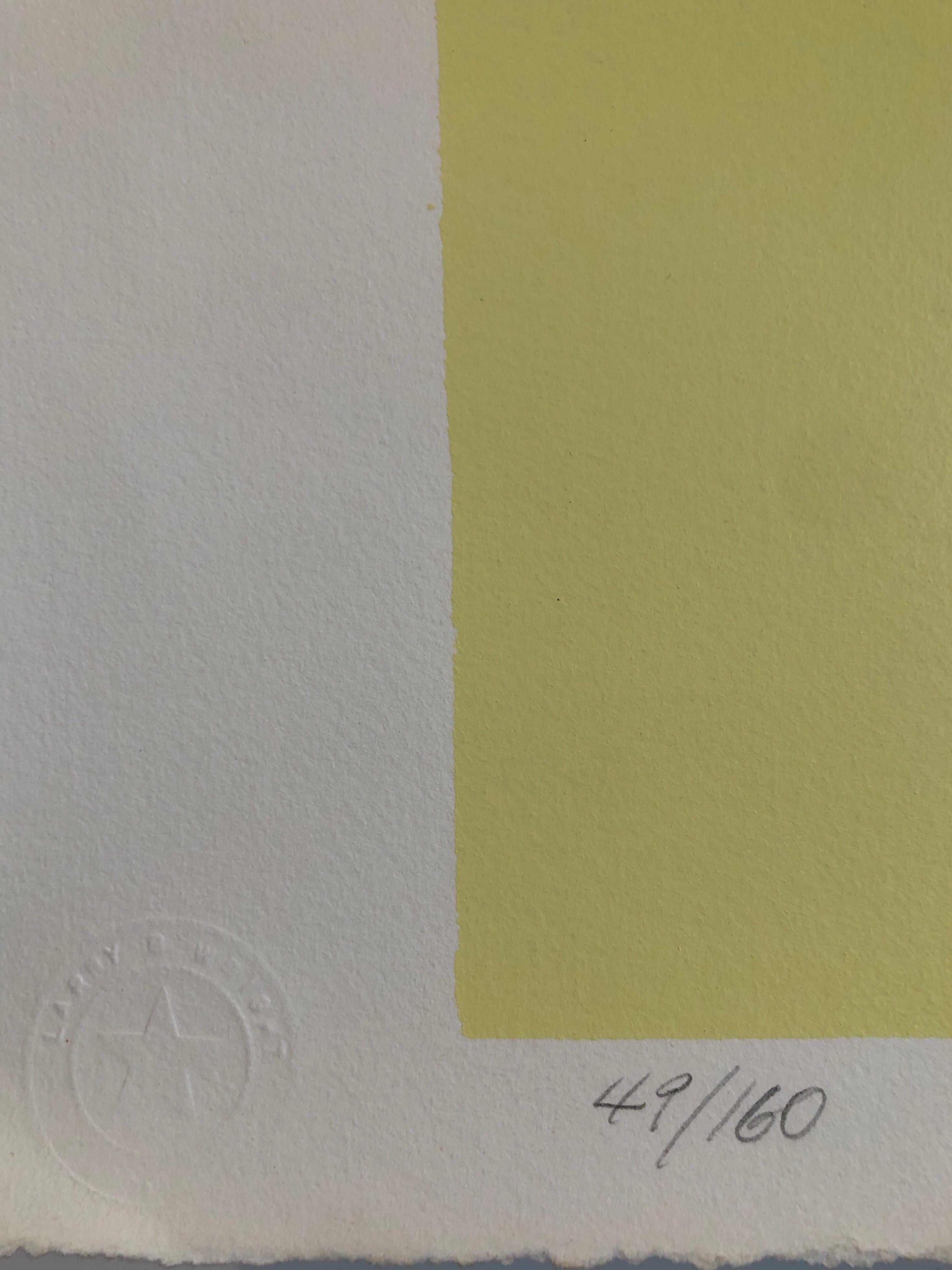 1980s Abstract Expressionism Color Field Silkscreen Serigraph Print Pale Yellow For Sale 1