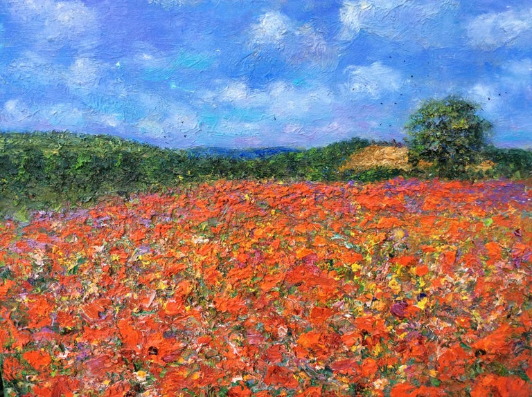 Michael Strang Poppy Field English Contemporary Impressionist Landscape Oil Painting For Sale At 1stdibs