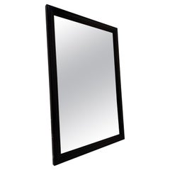 Michael Taylor for HENREDON Mahogany Asian Inspired Ebonized Wall Mirror