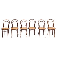 Antique Michael Thonet No. 14 Bentwood Dining Chairs, Set of 6, Circa 1900