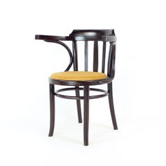 Michael Thonet Sillón de madera curvada nº 24 de Ton, Checoslovaquia Años 50