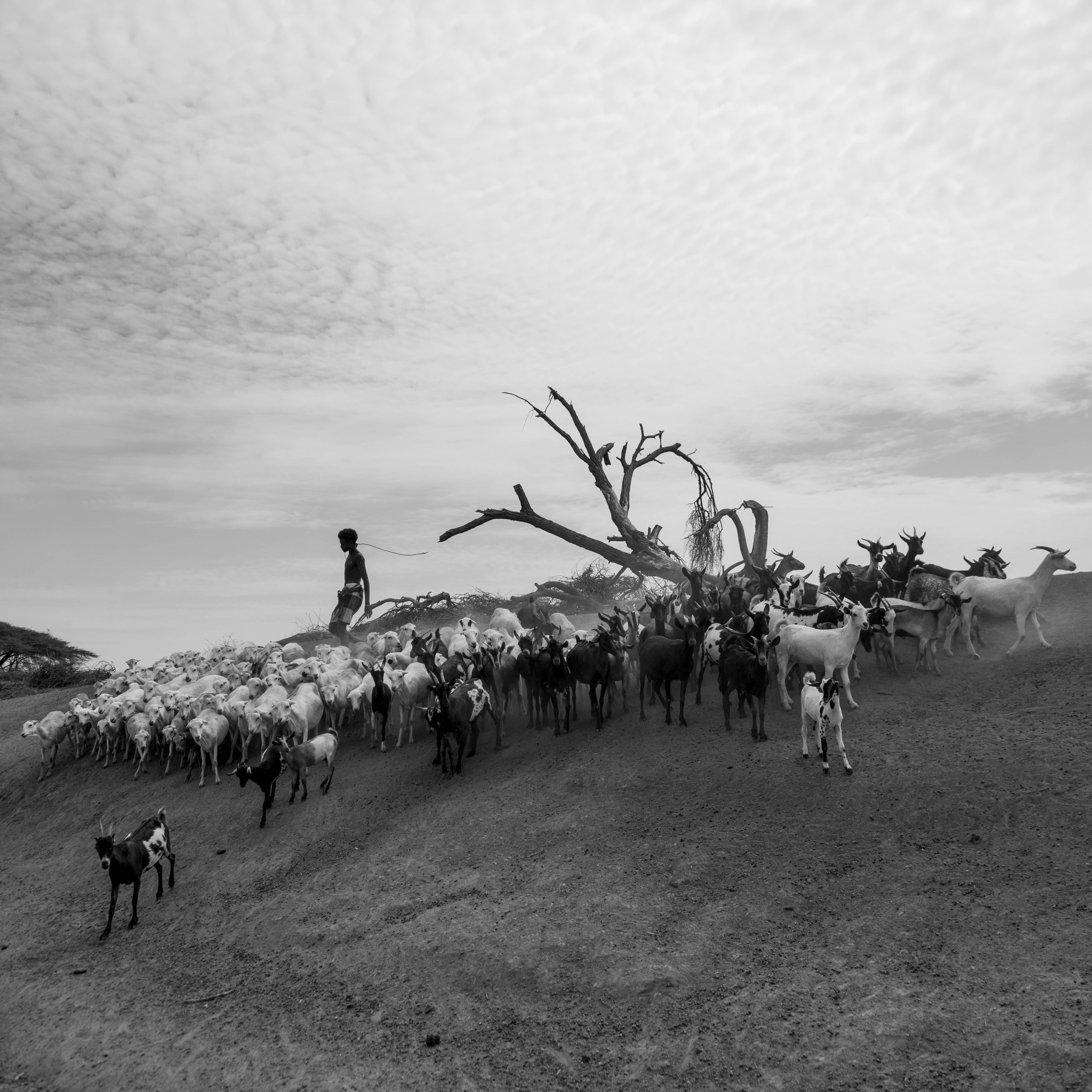 Michael Tsegaye Black and White Photograph - Layers of Movement VIII