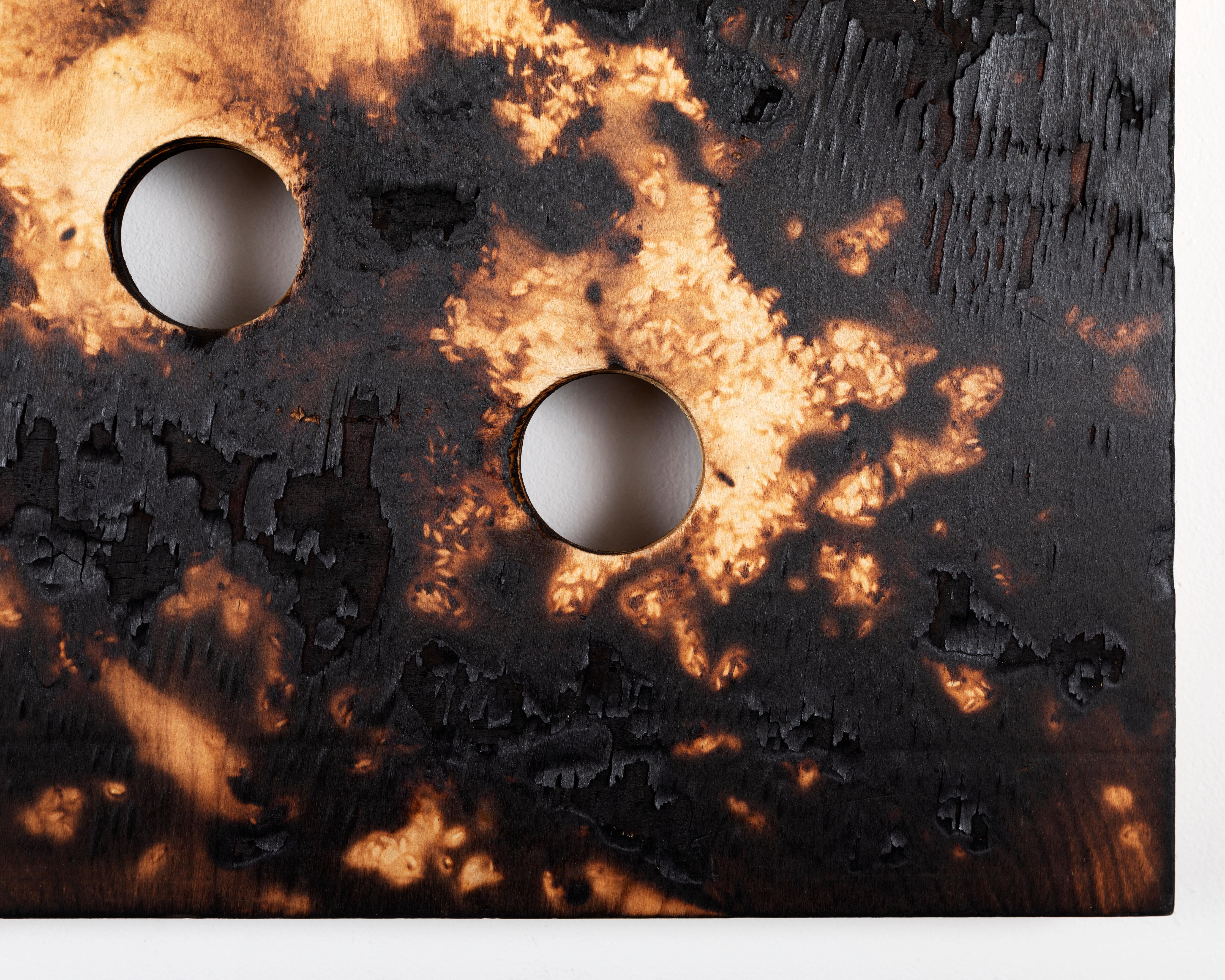 Pyre I, charred birch plywood abstract patterns earth tones created with fire - Abstract Painting by Michael Watson
