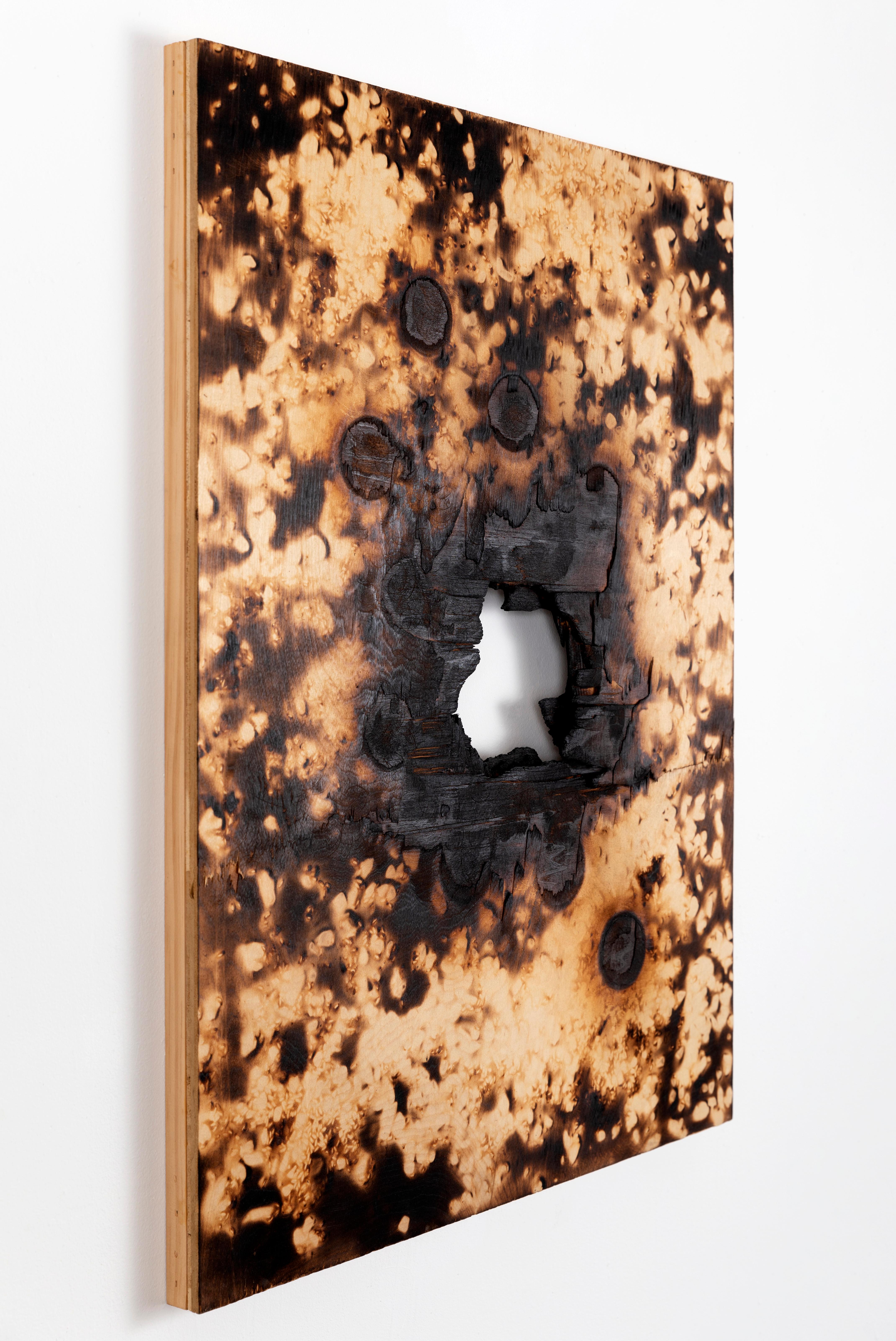 Pyre III, charred birch plywood abstract patterns earth tones created with fire - Painting by Michael Watson