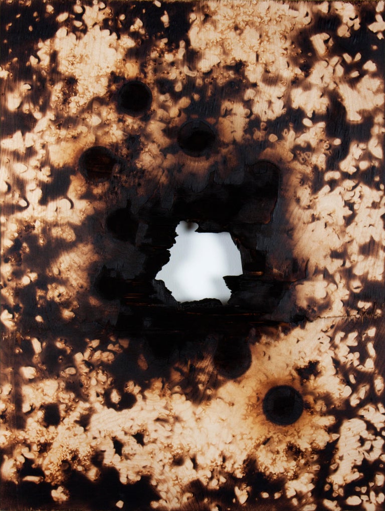 Michael Watson - Pyre III, charred birch plywood abstract patterns ...