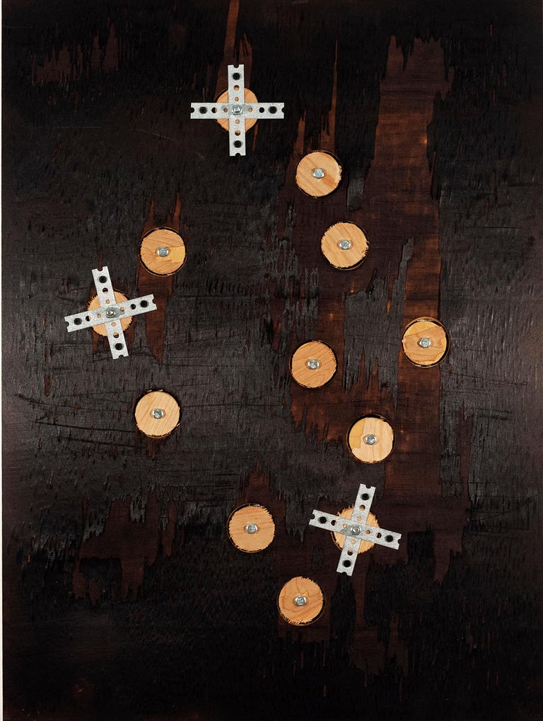 Michael Watson - Pyre XII, stainless steel pieces and charred birch ...